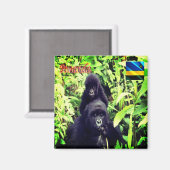 zRW003 RWANDA, Gorilla in National Park, Fridge Magneet (Voorkant / Achterkant)
