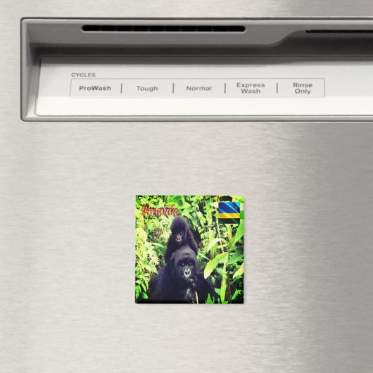 zRW003 RWANDA, Gorilla in National Park, Fridge Magneet (Insitu (Vaatwasser))