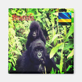 zRW003 RWANDA, Gorilla in National Park, Fridge Magneet (Voorkant)