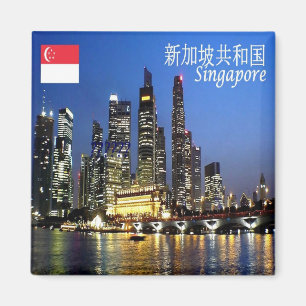 zSG013 SINGAPORE skyline avond LION CITY Fridge Magneet