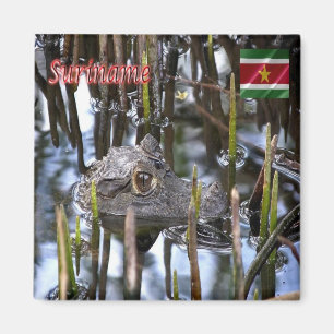 zSR004 SURINAME, Bigi-Pan kaaiman, Amerika, Fridge Magneet