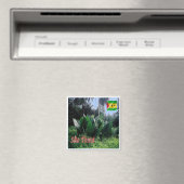 zST004 SAO TOME, Afrika, Fridge Magneet (Insitu (Vaatwasser))