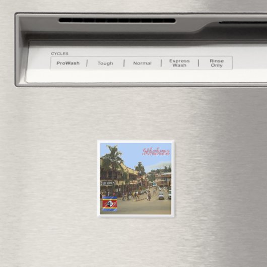 zSZ004 MBABANE, Swaziland, Afrika, Fridge Magneet (Insitu (Vaatwasser))