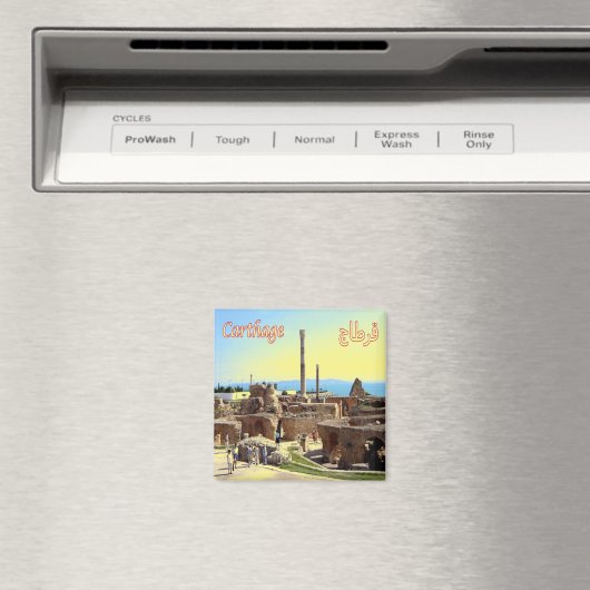 ZTN003 CARTHAGE, Tunesië, Afrika, Fridge Magneet (Insitu (Vaatwasser))