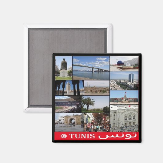 zTN020 TUNIS, Mozaïek, Tunesië, Afrika, Fridge Mag Magneet (Voorkant / Achterkant)