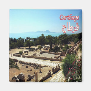 ZTN022 CARTHAGE, Ruins, Tunesië, Afrika, Fridge Magneet