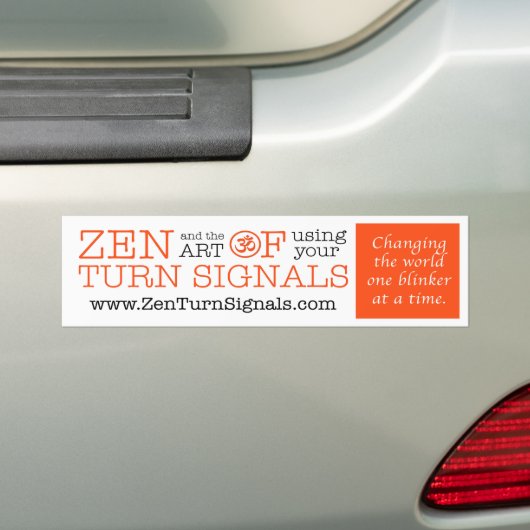 ZTS-Bumpersticker (3 x 11 inch) Bumpersticker (Op auto)