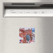 zU154 BRYCE CANYON, Natural Bridge, Utah, Fridge Magneet (Insitu (Vaatwasser))