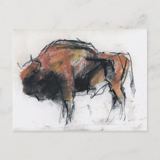 Zubre Bialowieza Briefkaart (Voorkant)