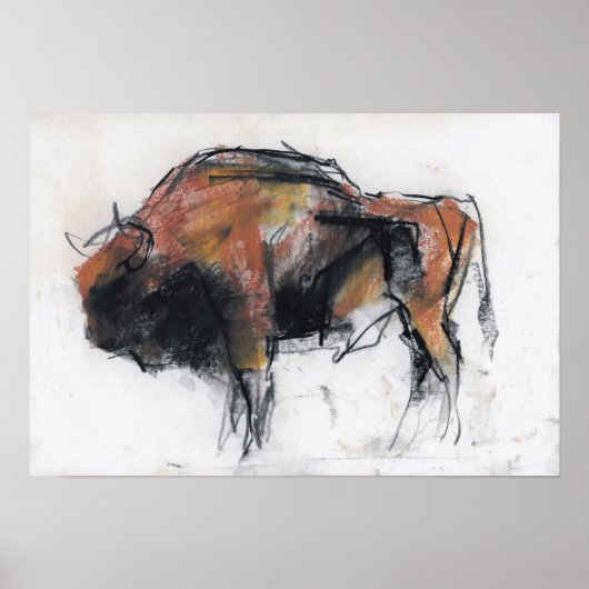 Zubre Bialowieza Poster (Voorkant)