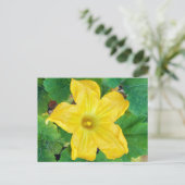 Zucchini Flower Briefkaart (Staand voorkant)