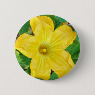Zucchini Flower Ronde Button 5,7 Cm