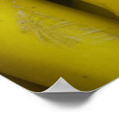 Zucchini Poster (Hoek)