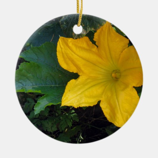 Zucchini Squash Blossom - foto Keramisch Ornament (Voorkant)