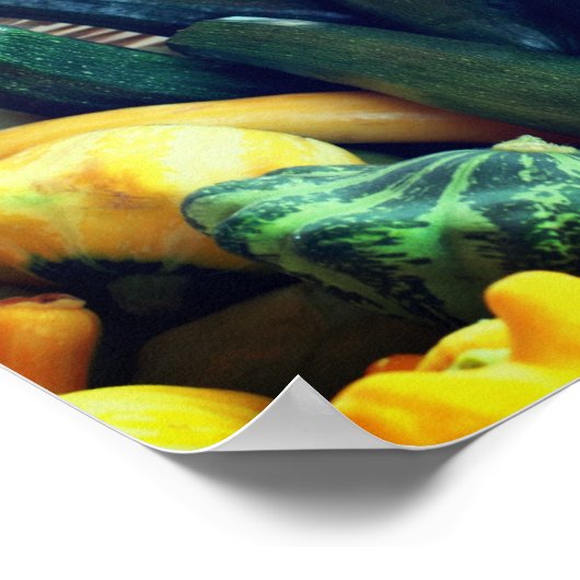 Zucchini Summer Squash Gourds Vegetables Poster (Hoek)