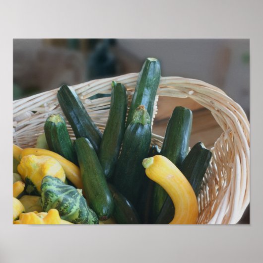 Zucchini Summer Squash Gourds Vegetables Poster (Voorkant)