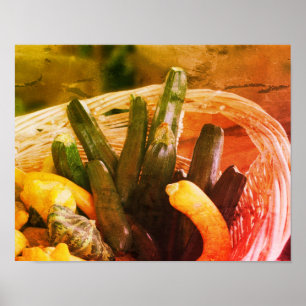 Zucchini Summer Squash Gourds Vegetables Poster