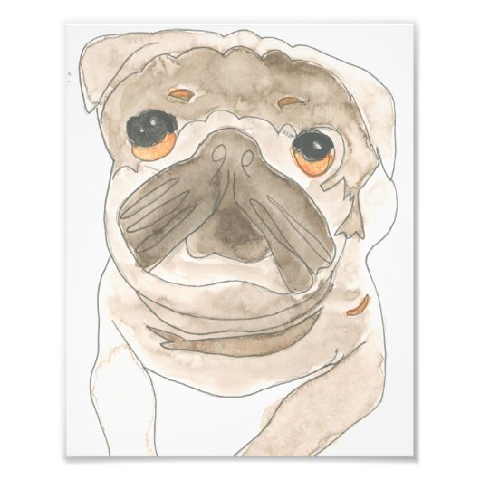 Zues Pup Print Foto Afdruk (Voorkant)