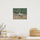Zuid-Afrika, Addo Elephant Nat'l Park. Baby Poster (Keuken)