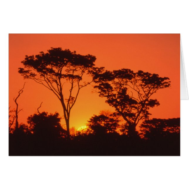 Zuid-Afrika. Afrikaanse zonsondergang. (Voorkant Horizontaal)