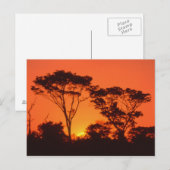 Zuid-Afrika. Afrikaanse zonsondergang. Briefkaart (Voorkant / Achterkant)