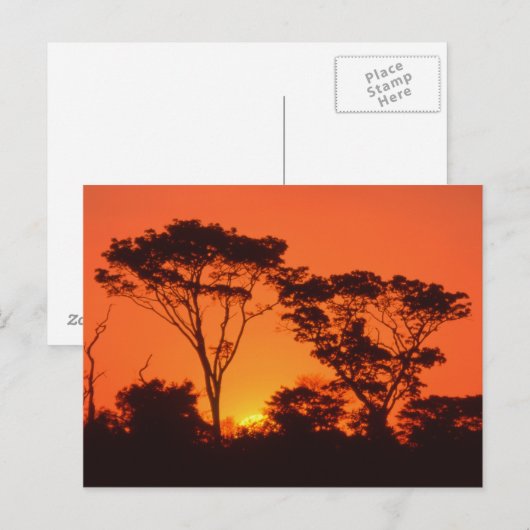Zuid-Afrika. Afrikaanse zonsondergang. Briefkaart (Voorkant / Achterkant)