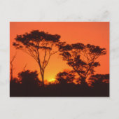 Zuid-Afrika. Afrikaanse zonsondergang. Briefkaart (Voorkant)