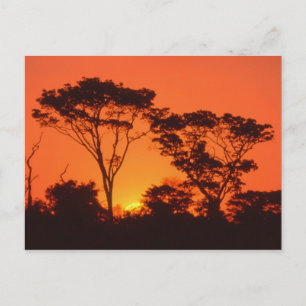 Zuid-Afrika. Afrikaanse zonsondergang. Briefkaart