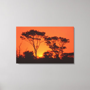 Zuid-Afrika. Afrikaanse zonsondergang. Canvas Afdruk