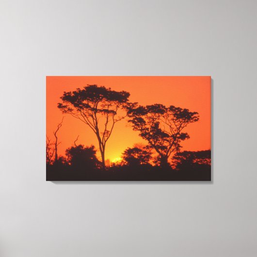 Zuid-Afrika. Afrikaanse zonsondergang. Canvas Afdruk (Voorkant)