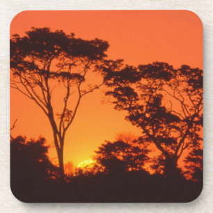Zuid-Afrika. Afrikaanse zonsondergang. Drankjes Onderzetter