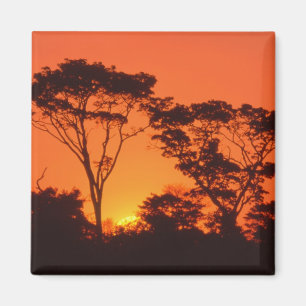 Zuid-Afrika. Afrikaanse zonsondergang. Magneet