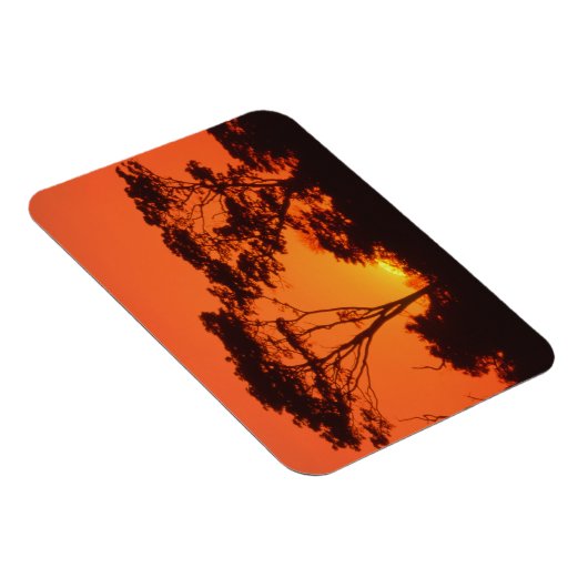 Zuid-Afrika. Afrikaanse zonsondergang. Magneet (Rechterzijde)