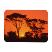 Zuid-Afrika. Afrikaanse zonsondergang. Magneet (Horizontaal)