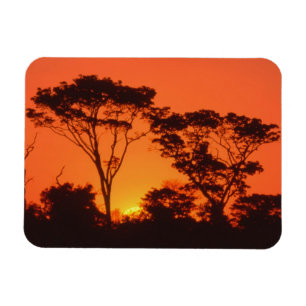 Zuid-Afrika. Afrikaanse zonsondergang. Magneet