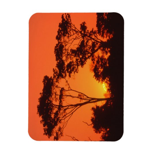 Zuid-Afrika. Afrikaanse zonsondergang. Magneet (Verticaal)