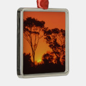 Zuid-Afrika.  Afrikaanse zonsondergang. Metalen Ornament (Rechts)