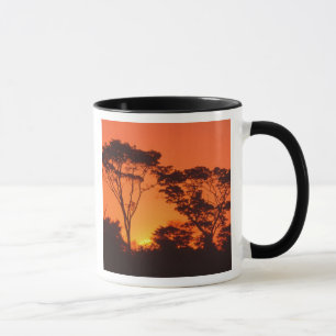 Zuid-Afrika. Afrikaanse zonsondergang. Mok