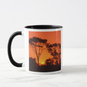 Zuid-Afrika. Afrikaanse zonsondergang. Mok (Links)