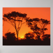 Zuid-Afrika. Afrikaanse zonsondergang. Poster (Voorkant)