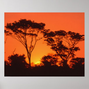 Zuid-Afrika. Afrikaanse zonsondergang. Poster