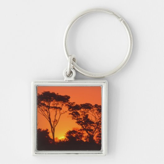 Zuid-Afrika. Afrikaanse zonsondergang. Sleutelhanger (Voorkant)
