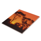 Zuid-Afrika.  Afrikaanse zonsondergang. Tegeltje (Zijkant)