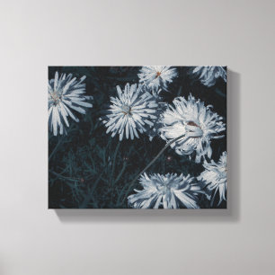 Zuid-Afrika Bleke groene en witte bloemen Canvas Afdruk