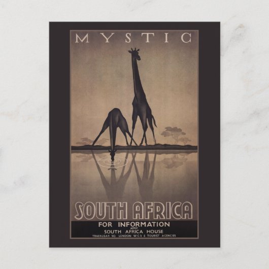 Zuid-Afrika Briefkaart (Voorkant)