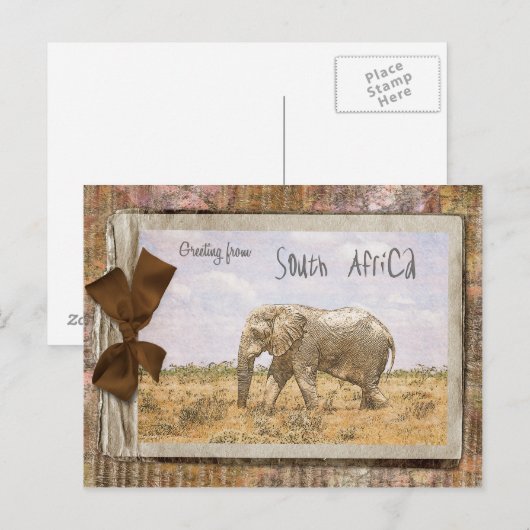 Zuid-Afrika Briefkaart (Voorkant / Achterkant)