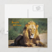 Zuid-Afrika Briefkaart (Voorkant / Achterkant)