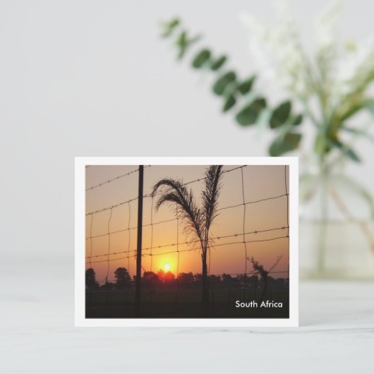 Zuid-Afrika Briefkaart (Staand voorkant)