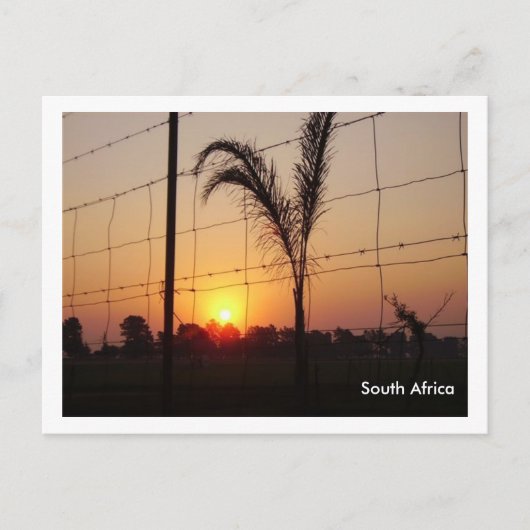 Zuid-Afrika Briefkaart (Voorkant)