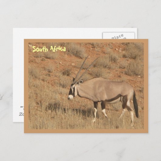 Zuid-Afrika Briefkaart (Voorkant / Achterkant)